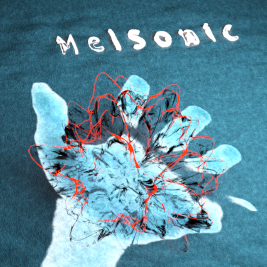 die MelSonic Hand